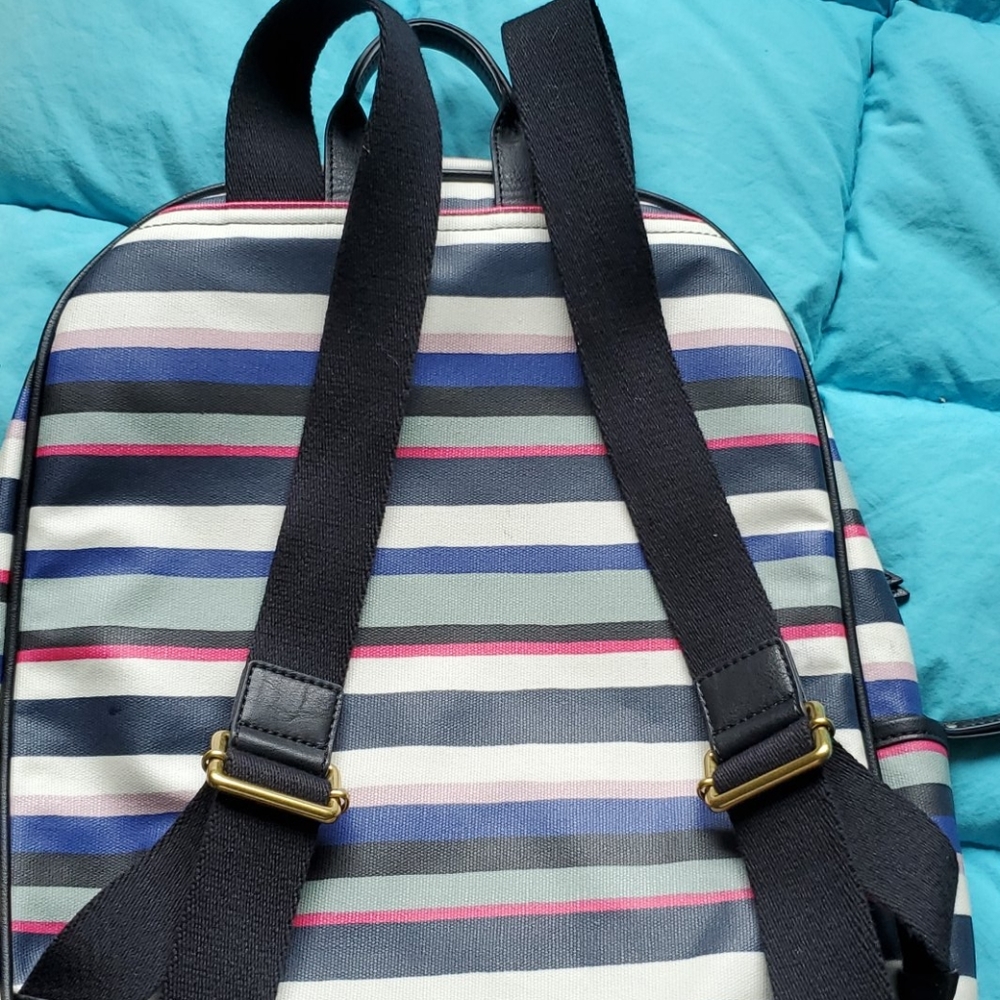 Fossil Striped Backpack - Gem display picture 3
